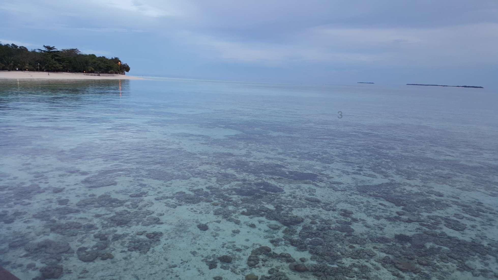 文化和旅游部新春旅游休闲宣推活动在西安启动,全国百城百台“畅行中国·龙腾虎跃中国年”作重点推介
